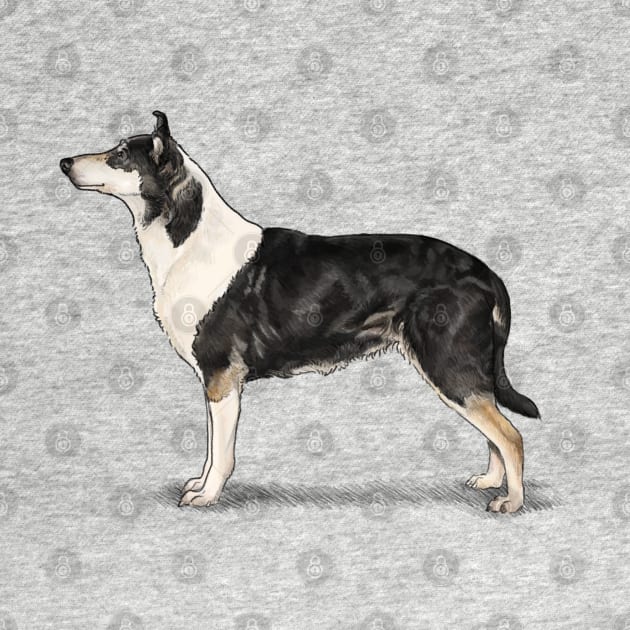 The Tri Colour Smooth Collie by Elspeth Rose Design